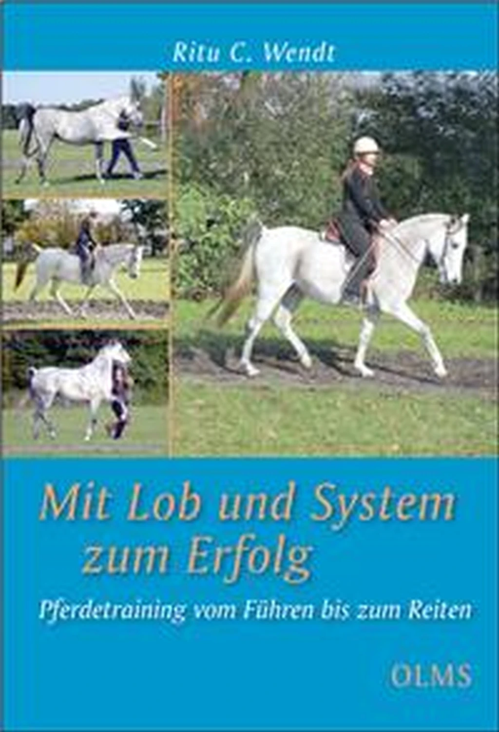 Mit Lob und System zum Erfolg von Geoarg Olms AG