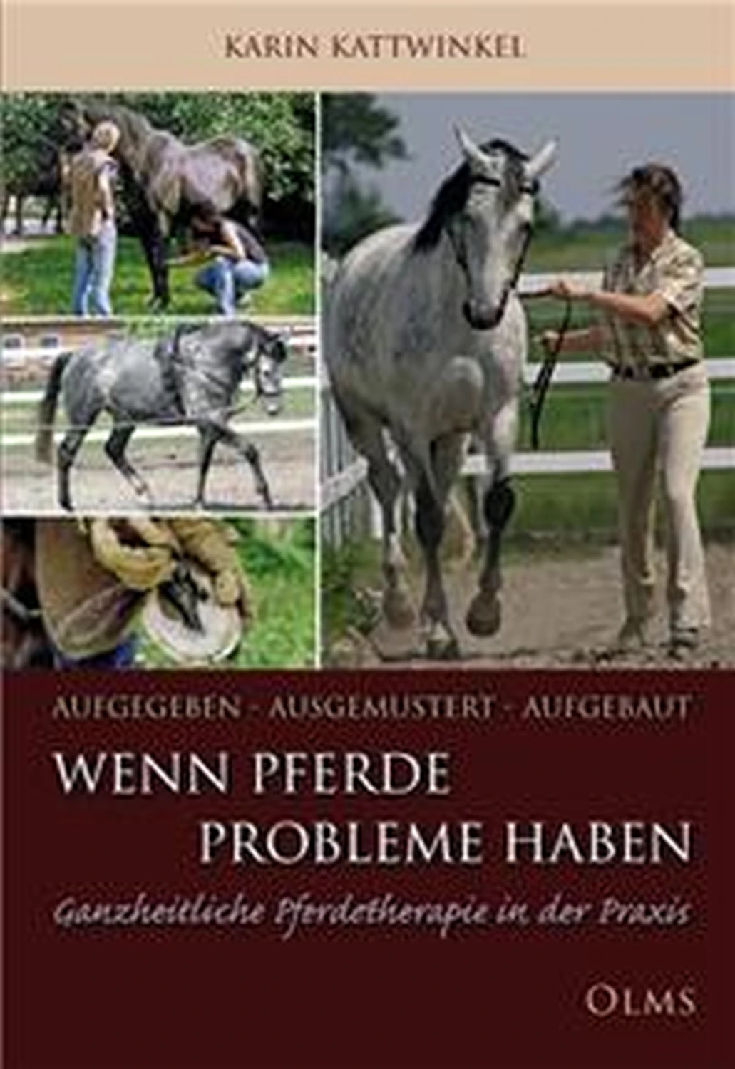 Aufgegeben - Ausgemustert - Aufgebaut. Wenn Pferde Probleme haben von Geoarg Olms AG