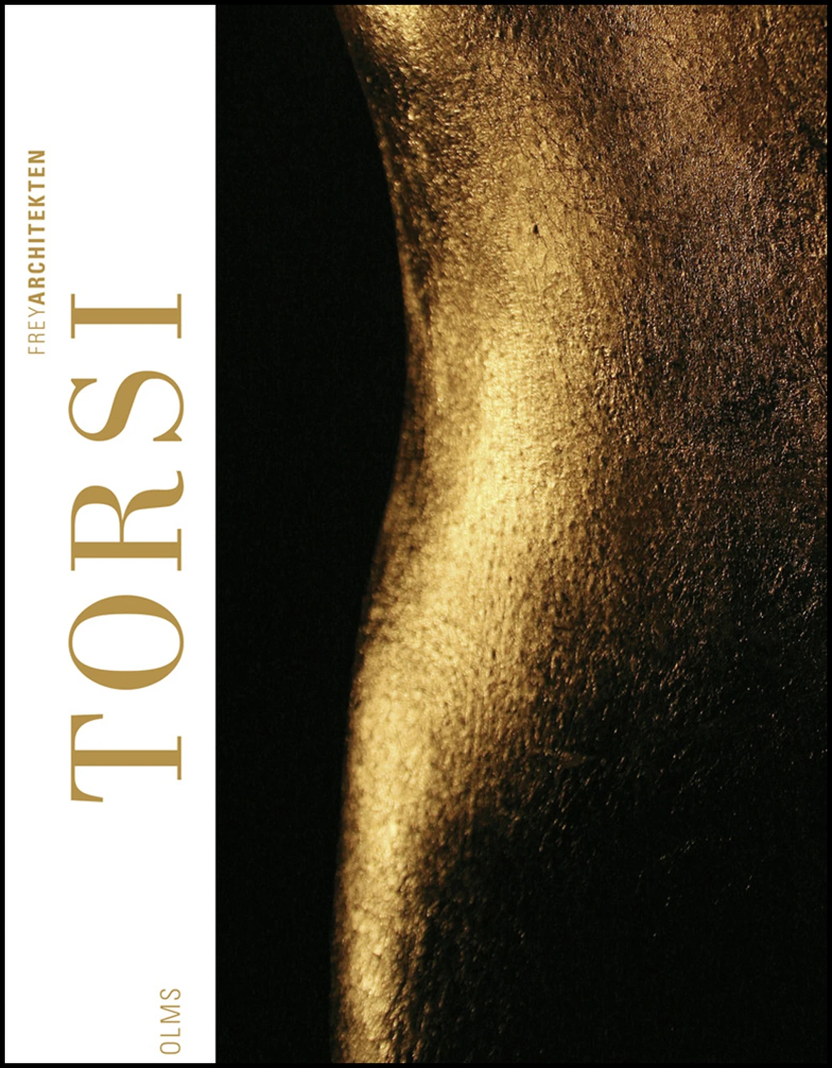 Torsi von Geoarg Olms AG 