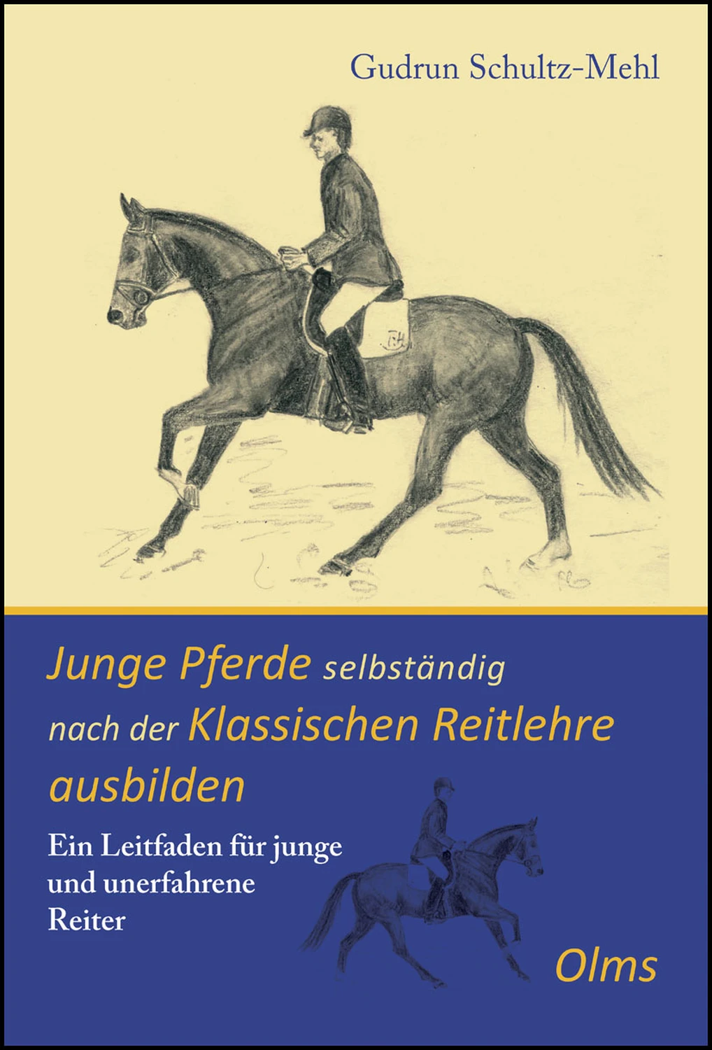 Physiotraining für Reiter von Geoarg Olms AG